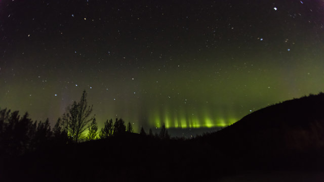 AUGUST 30, 2016 - Aurora Borealis or Northern Lights illuminate the night sky from Kantishna, Alaska - Mnt. Denali National Park