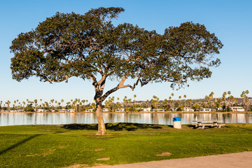 De Anza Cove area of Mission Bay Park in San Diego, California.   - obrazy, fototapety, plakaty
