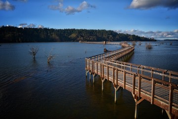 Naklejka premium Walkway, Bluesky, Landscape