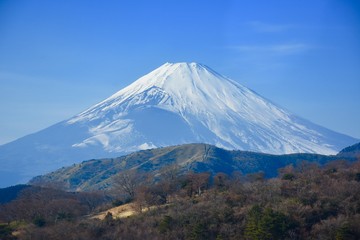 Fototapeta na wymiar Great Fuji