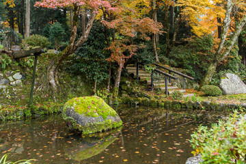 Autumn Japanese garden