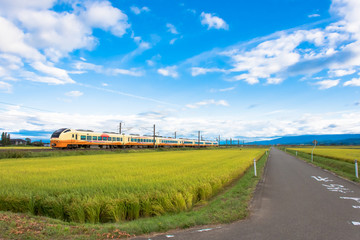 秋の庄内平野と羽越本線