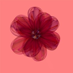 Simple decorative red  flower on pink background