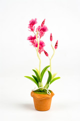 Naklejka na ściany i meble ORCHID Flower Plant in Pot Dollhouse Miniatures Garden