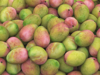 Pile of Mangoes, Variation 1