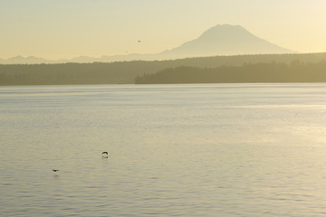 Rainier Morning Haze