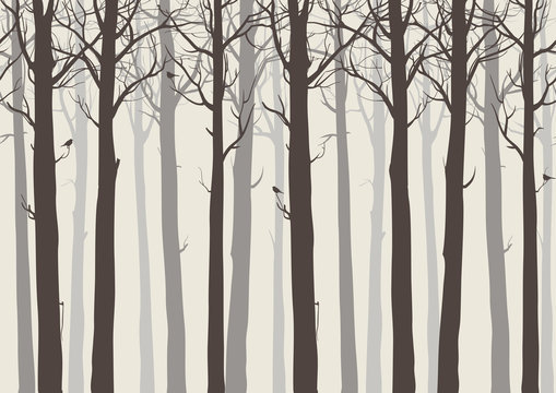 background seamless horizontal, trees with birds, brown colors, vector illustration.It can be used as wallpaper in the interior
