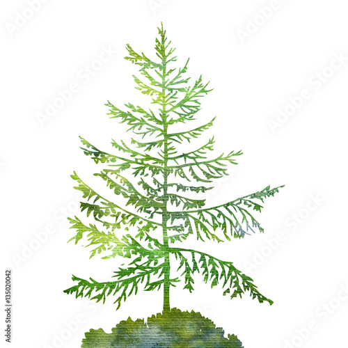 "silhouette of fir tree" Stock photo and royalty-free images on Fotolia