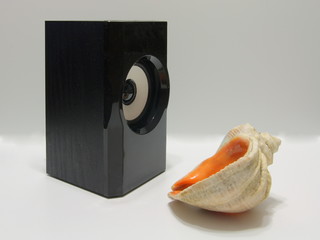 Still life of two objects - speaker and seashell.