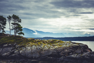 Tree, Rocks and Mountains