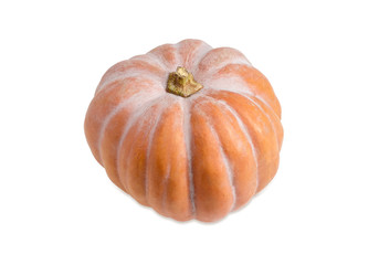 Orange pumpkin on a light background