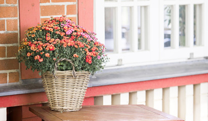 Fototapeta na wymiar White window and flowers on the red brick wall background.