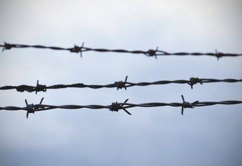 Barbed wire, fence in front of gray sky, background