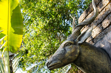 Head of Antelope and Garden Africa Stlye