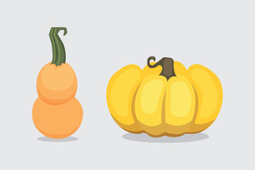 Set vector cartoon Pumpkin isolated. Autumn vegetable plant vegetarian