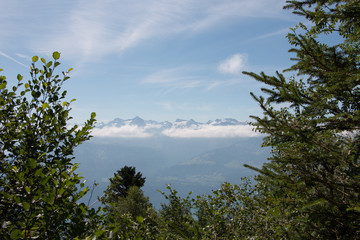 Eine Lichtung im Wald gew&auml;hrt einen Blick in die Berge.