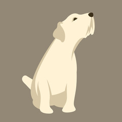 Terrier vector illustration style Flat