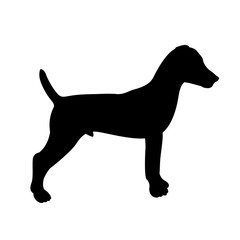 Terrier vector illustration style Flat silhouette