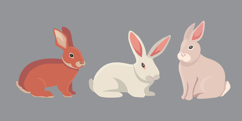 Obraz na płótnie Canvas vector illustration of cartoon rabbits different breeds. Fine bunnys for veterinary design