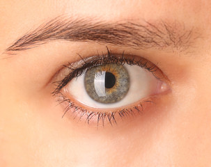 Close up view of a green woman eye looking at camera