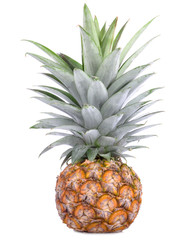 Obraz premium pineapple isolated on a white background