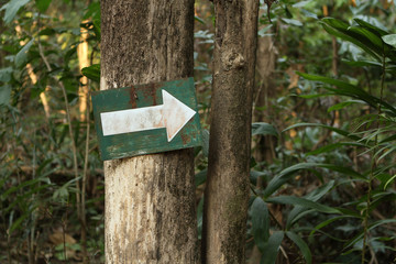 Arrow sign on tree in the forest