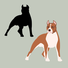 american staffordshire terrier vector illustration style Flat