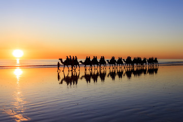 A line of Camels walk along Cable Beach in Broome, Western Australia, during sunset. Western...