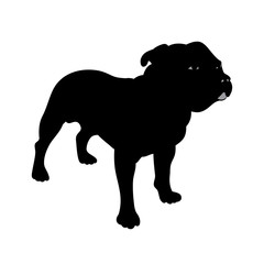american staffordshire terrier vector illustration silhouette