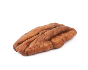 Single pecan nut isolated