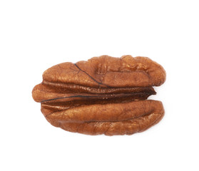 Single pecan nut isolated