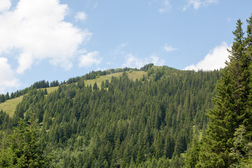 Fototapeta na wymiar Summer green ski slope in Austria