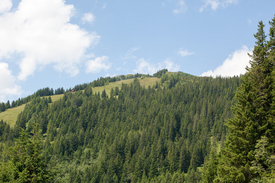 Summer green ski slope in Austria