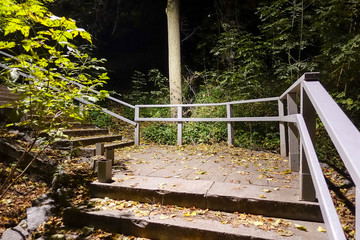 Ladder in the wood at night