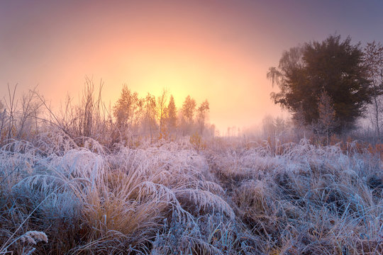 Frosted autumn landscape at dawn. Beautiful morning hoarfrost.