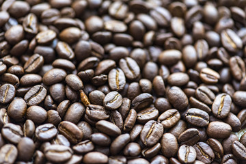 Close-up Coffee Beans, macro background, texture