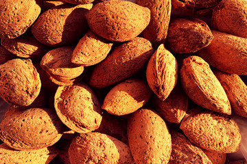 Almond shell. Texture background.