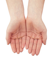 woman empty open hand isolated on white