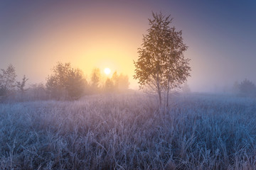 Obraz na płótnie Canvas Frosted autumn landscape at dawn. November morning hoarfrost.