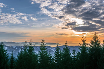Obraz premium Winterlicher Schwarzwald 