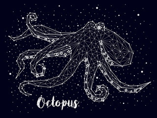 Octopus constellation © chikovnaya