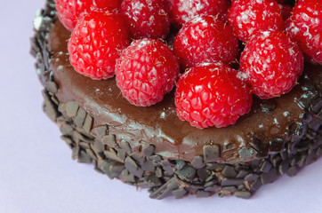 raspberry and chocolate cake detailed view