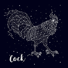 cock. constellation. year fire rooster, vector