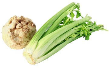 various raw vegetables