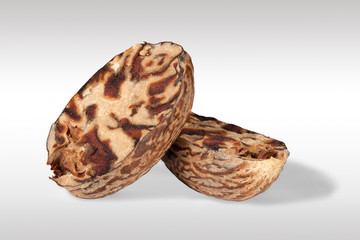 Macro close up of Nutmeg