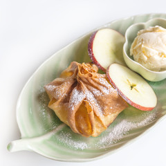 deep fried dumplings