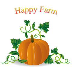 Pumpkin vector clipart