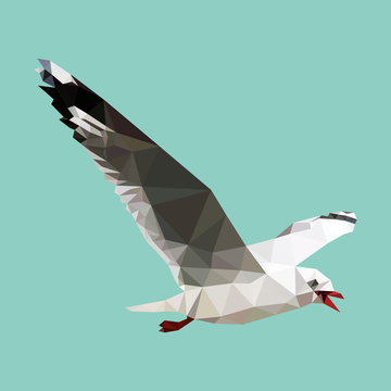 Polygonal Seagull, Geometric Polygon Bird, Isolated Vector