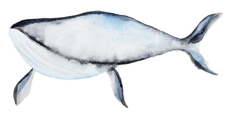 Fototapeta premium Watercolor blue whale
