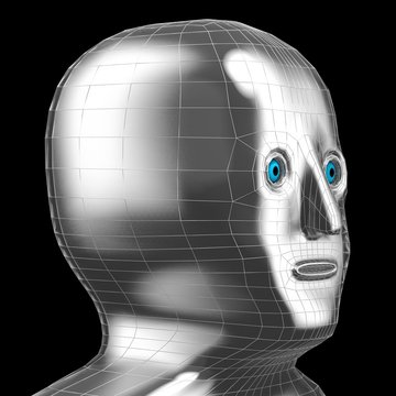 3D head